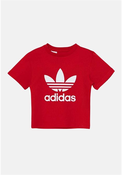  ADIDAS ORIGINALS | IY2387.